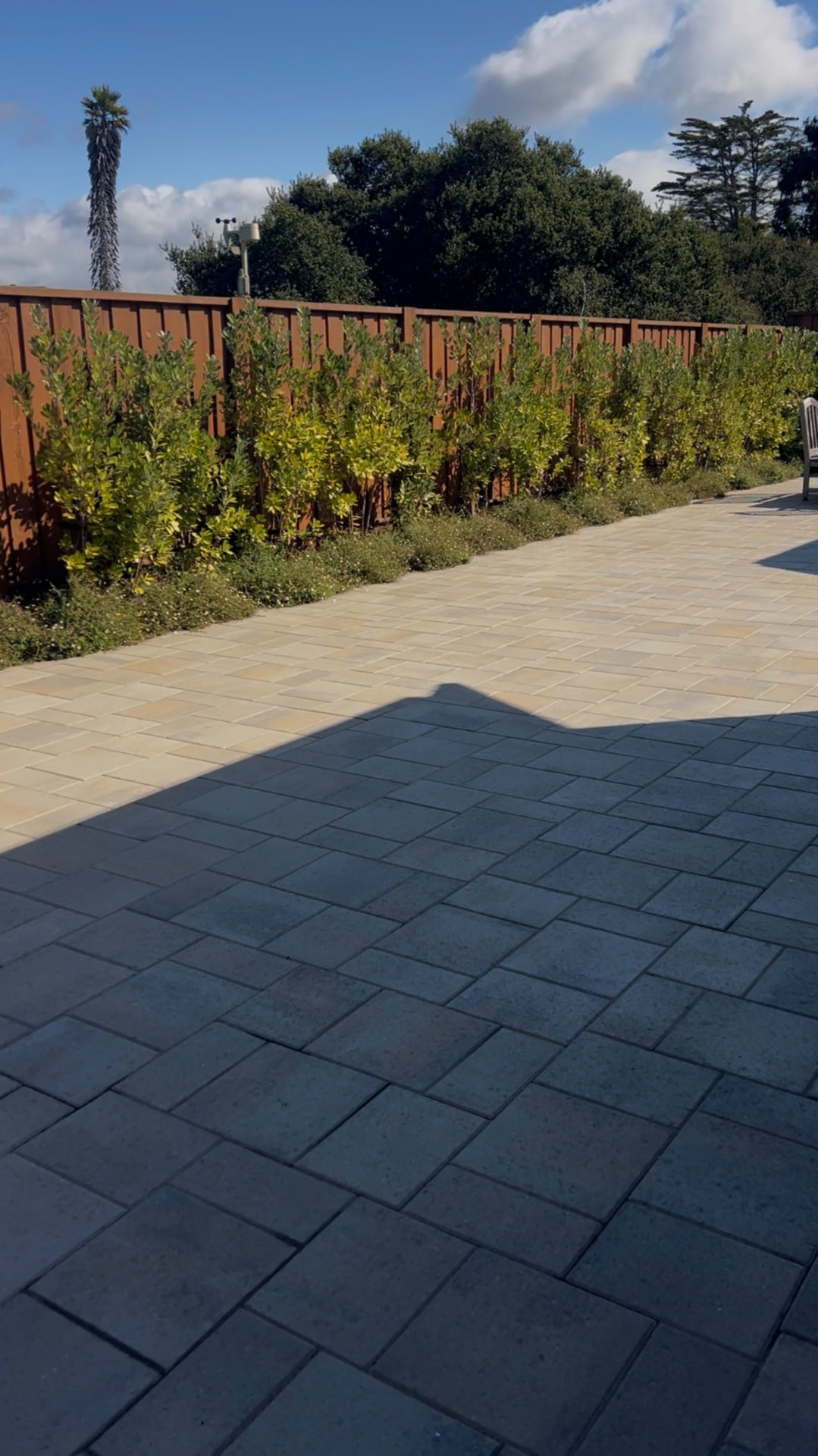 Paver patio with fence-line privacy planting